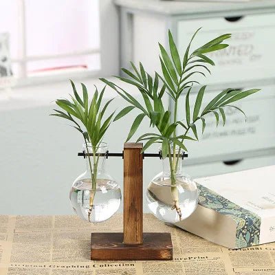 Revitalisez votre intérieur avec nos vases hydroponiques en terrarium - Plante-pousse-plus